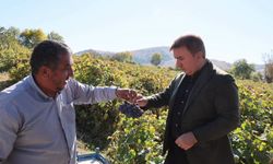Vali Aydoğdu’dan üzüm üreticisine ziyaret