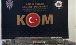 Bingöl’de bir haftada 29 şüpheli yakalandı