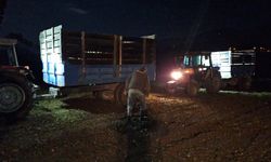 Erzincan’da şeker pancarı hasadı gece gündüz sürüyor