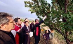 Vali Karakaya, Güroymak’ta badem hasadına katıldı