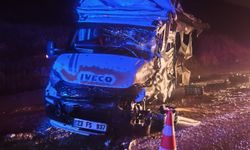 Doğanşehir’de tır ile minibüs çarpıştı: 1 yaralı