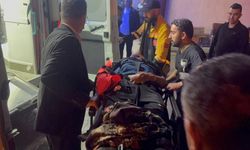 Düzensiz göçmenleri taşıyan minibüs dereye uçtu: 20 yaralı