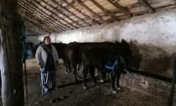 Erzurum’da Kırsalda Bereket Projesi ilk meyvelerini verdi