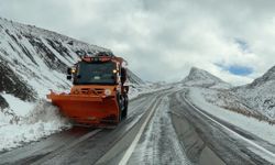 Van-Bahçesaray yolunda mevsimin ilk karı etkili oldu