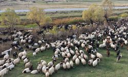 Göçerlerin Van’dan Siirt’e dönüş yolculuğu başladı