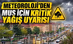 Meteoroloji’den Muş için ‘Sarı Kodlu’ uyarı