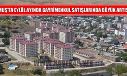 Muş’ta gayrimenkul satışlarında dikkat çeken artış