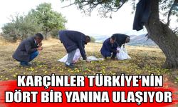 Muş’ta “Karçin” Hasadı Başladı
