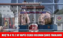 Muş’ta 4 yıl hapis cezası bulunan hırsızlık hükümlüsü yakalandı