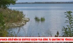 Yağışların ardından Sapanca Gölü'nde su seviyesi yükseldi