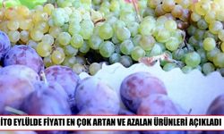 İstanbul'da eylülde fiyatı en çok artan ve azalan ürünler belli oldu