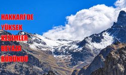 Hakkari dağlarına mevsimin ilk karı düştü