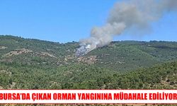 Bursa’da orman yangını: Havadan ve karadan müdahale ediliyor
