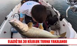 Keban Barajı’nda dev turna balığı yakalandı