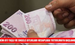 Yaşlı ve engelli aylıkları için ekim ödemeleri başladı