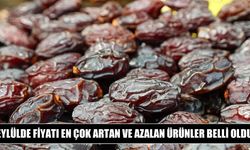 Eylülde fiyatı en çok artan ürün yükseköğretim oldu