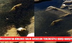 Yüksekova’da binlerce balık için alarm: Su seviyesi düştü