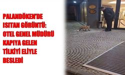 Palandöken’de yaban hayatına örnek duyarlılık