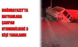 Doğubayazıt’ta otomobil hayvan sürüsüne çarptı: 3 yaralı
