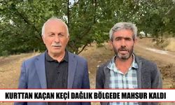 Malatya’da keçi için seferber oldular ancak kurtaramadılar