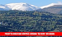 Posof’un yüksek kesimleri beyaza büründü