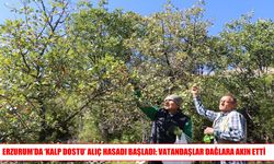 Olur’da alıç mesaisi başladı