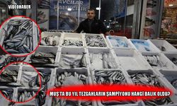 Muş’ta balık tezgahlarında bu sezon dengeler değişti: Hamsi mi, palamut mu?