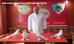 Emekli astsubay, 40 güvercini için ev kiraladı: Aylık 10 bin TL harcıyor