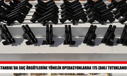 Suç örgütlerine darbe: 1 ayda 175 kişi tutuklandı