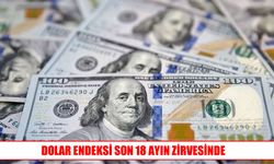 Dolar endeksinde 18 ayın en yüksek seviyesi