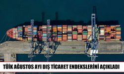 TÜİK verileri açıklandı: İthalat birim değerindeki artış daha yüksek