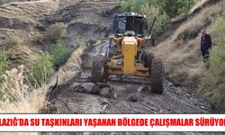 Elazığ’da taşkınların ardından ekipler sahada