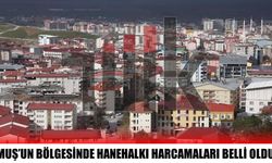 Muş’ta hanehalkı harcamalarında gıda ve kira öne çıktı