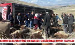 Erzurum’da feci kaza: 130 küçükbaş hayvan telef oldu
