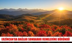 Erzincan dağlarında sonbahar manzaraları