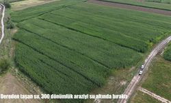 Elazığ’da sel çiftçiyi vurdu: 300 dönüm mısır zarar gördü
