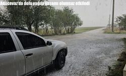 Adilcevaz'da dolu yağışı yaşamı olumsuz etkiledi