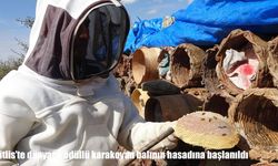 Bitlis'te dünyaca ödüllü karakovan balının hasadına başlanıldı
