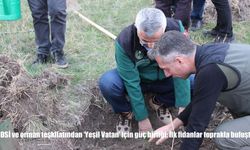 DSİ ve orman teşkilatından ‘Yeşil Vatan’ için güç birliği: İlk fidanlar toprakla buluştu