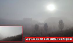 Muş’ta görüş mesafesi 30 metreye kadar düştü