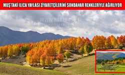 Ilıca Yaylası sonbaharın renkleriyle büyülüyor
