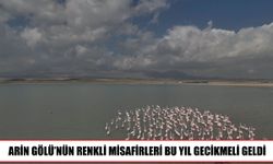 Arin Gölü’nde flamingo hareketliliği başladı