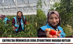 Çayırlı’da öğrenciler üretimi yerinde öğrendi