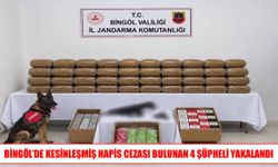 Bingöl’de 39 olaya müdahale edildi, 4 kişi tutuklandı
