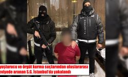 Uluslararası aranan uyuşturucu örgütü yöneticisi İstanbul’da yakalandı