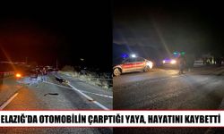 Elazığ-Pertek yolunda otomobil yayaya çarptı: 1 ölü