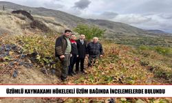 Kaymakam Hökelekli’den üzüm üreticisine ziyaret