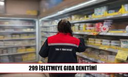 299 işletme denetlendi, 4 gıda numunesi alındı