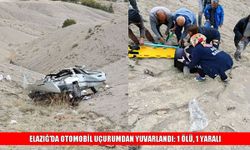 Elazığ’da kontrolden çıkan otomobil can aldı