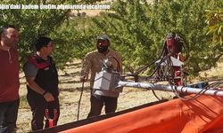 Ağın’daki badem üretim alanlarında inceleme